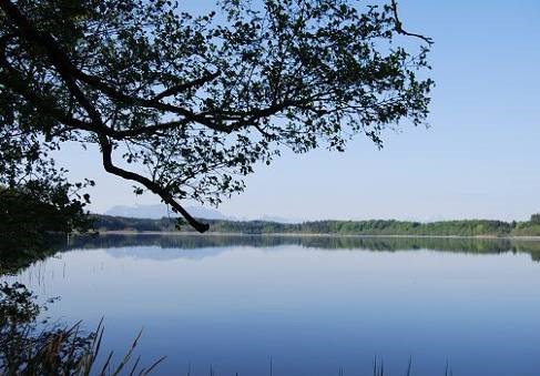 von Treu Immobilien Hartsee